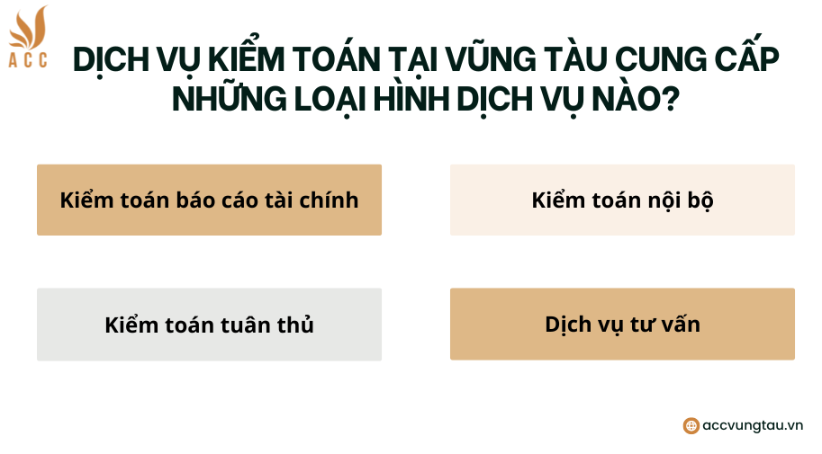 Dịch vụ kiểm toán tại Vũng Tàu cung cấp những loại hình dịch vụ nào