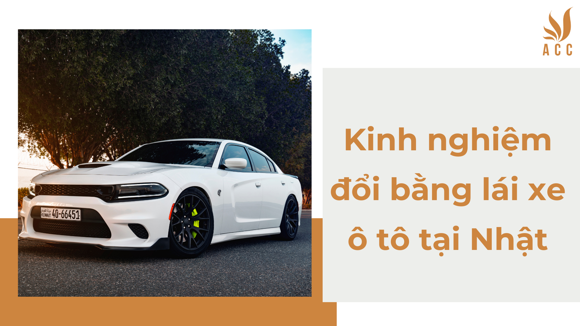 Kinh nghiệm đổi bằng lái xe ô tô tại Nhật