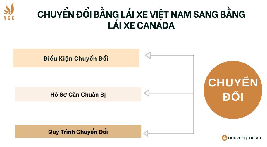 Chuyển Đổi Bằng Lái Xe Việt Nam Sang Bằng Lái Xe Canada