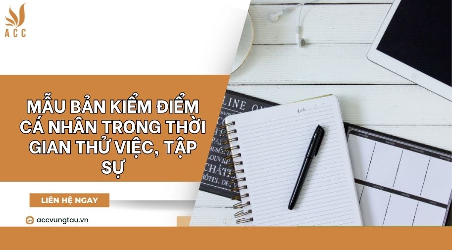 Mẫu bản kiểm điểm cá nhân trong thời gian thử việc, tập sự