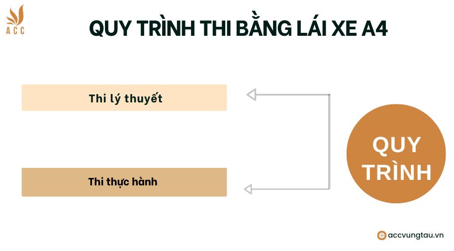 Quy trình thi bằng lái xe A4