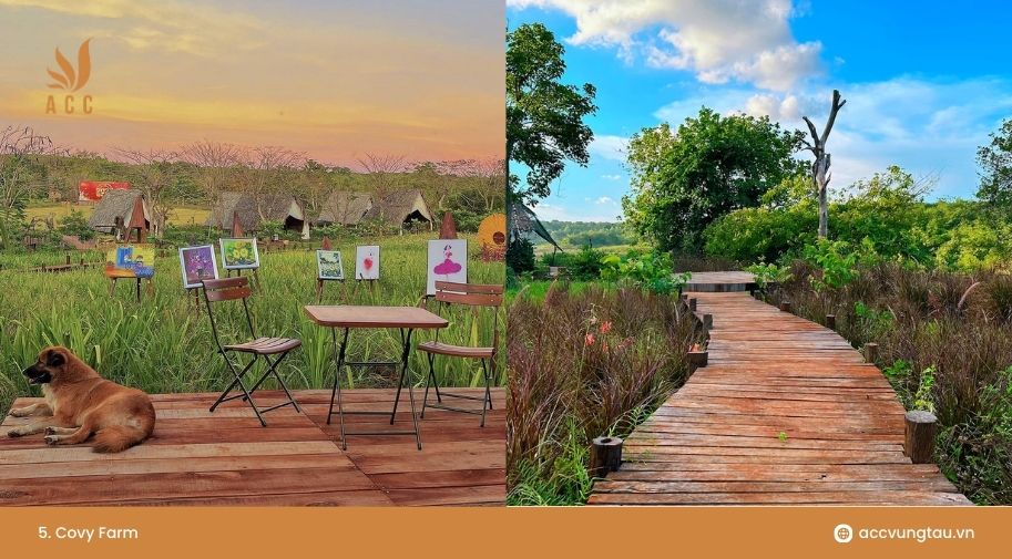 5. Covy Farm - Quán cafe đẹp ở Xuyên Mộc