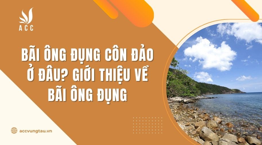 Bãi Ông Đụng Côn Đảo ở đâu? Giới thiệu về bãi Ông Đụng