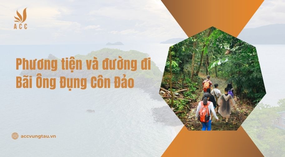 Bãi Ông Đụng Côn Đảo ở đâu? Giới thiệu về bãi Ông Đụng