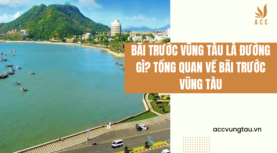 Bãi Trước Vũng Tàu là đường gì