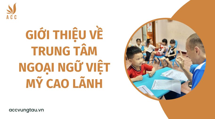 Giới thiệu về Trung tâm Ngoại ngữ Việt Mỹ Cao Lãnh