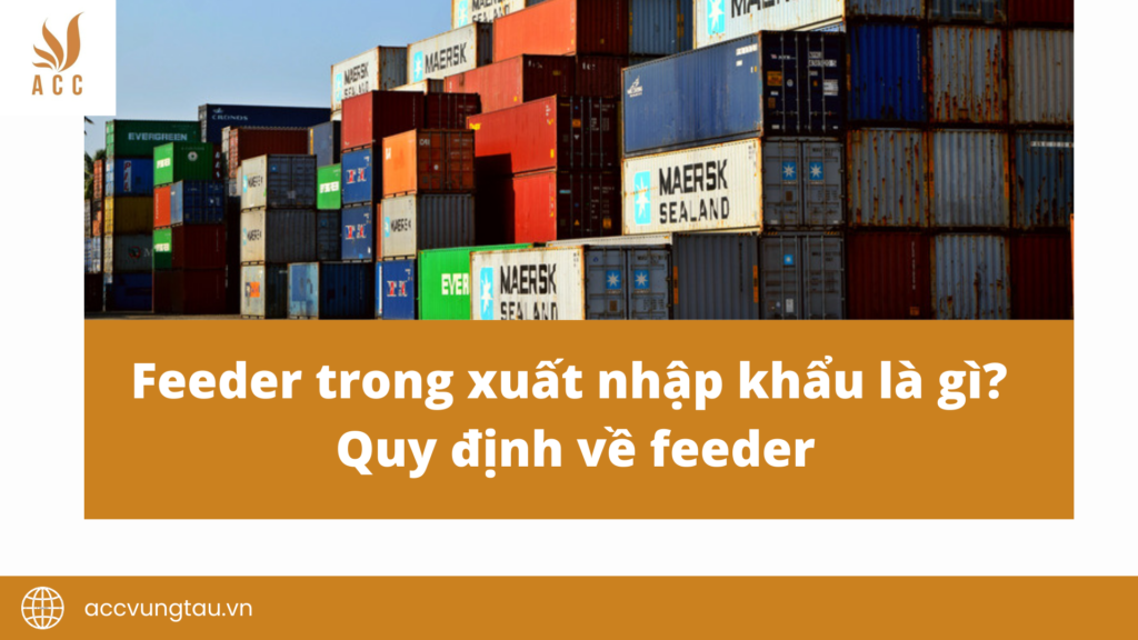 Feeder trong xuất nhập khẩu là gì? Quy định về feeder