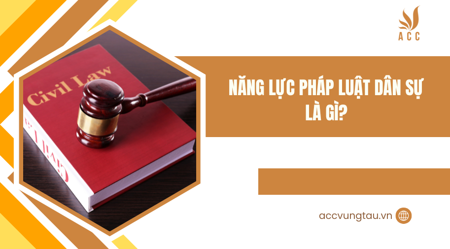 Năng lực pháp luật dân sự là gì
