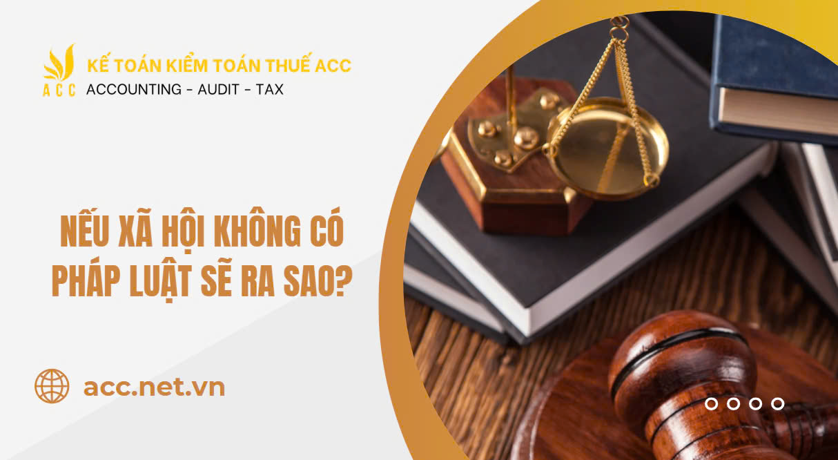 Nếu xã hội không có pháp luật sẽ ra sao?