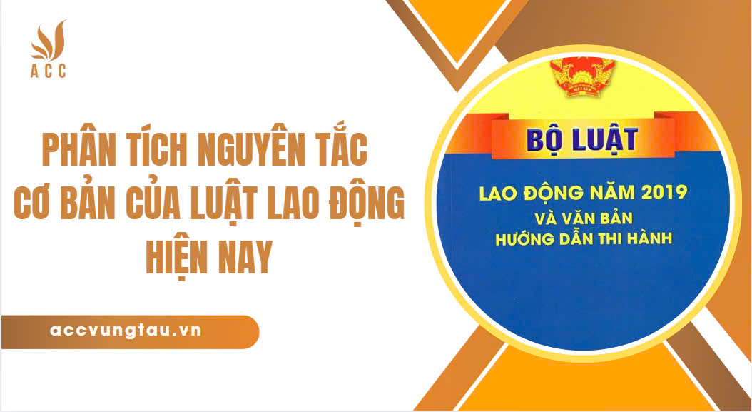Phân tích nguyên tắc cơ bản của luật lao động hiện nay