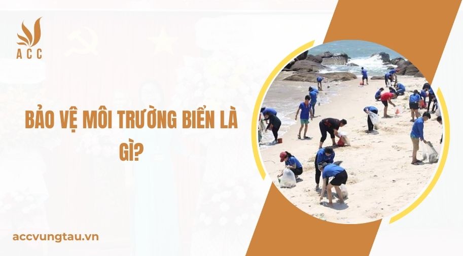 Bảo vệ môi trường biển là gì?.jpg