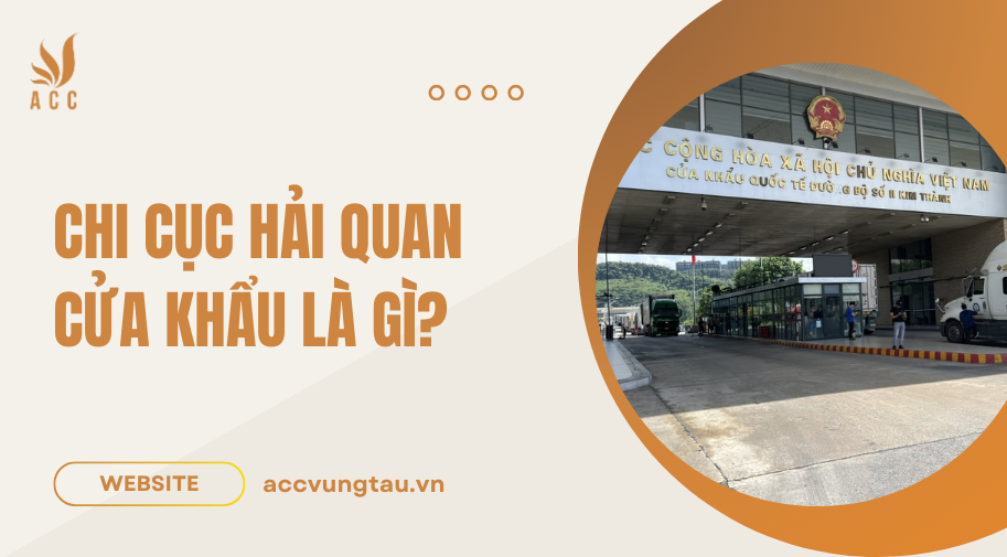 Chi cục hải quan cửa khẩu là gì