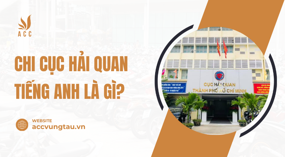Chi cục hải quan tiếng Anh là gì