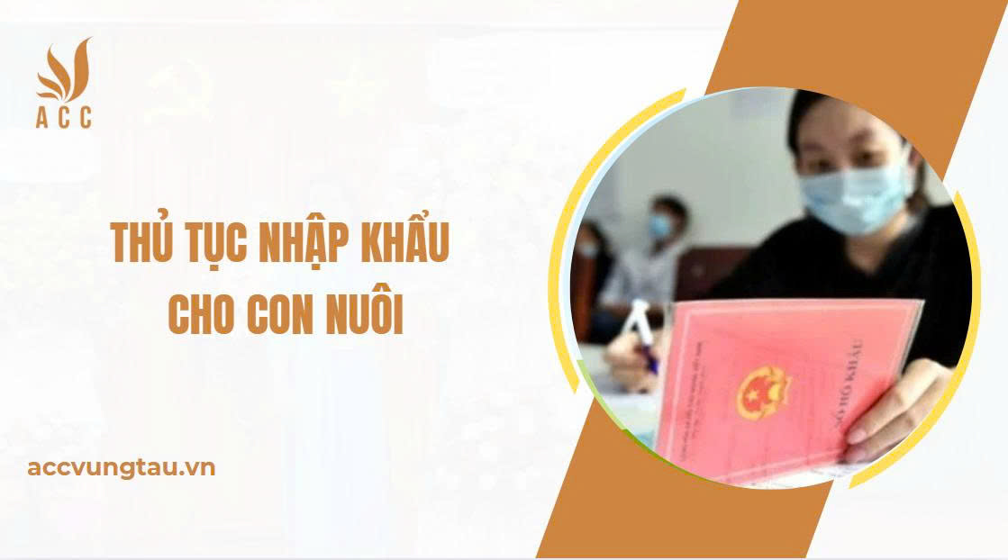 Thủ tục nhập khẩu cho con nuôi.jpg