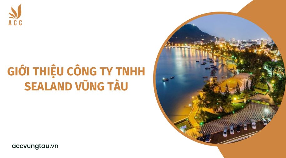 Giới thiệu Công ty TNHH Sealand Vũng Tàu.jpg