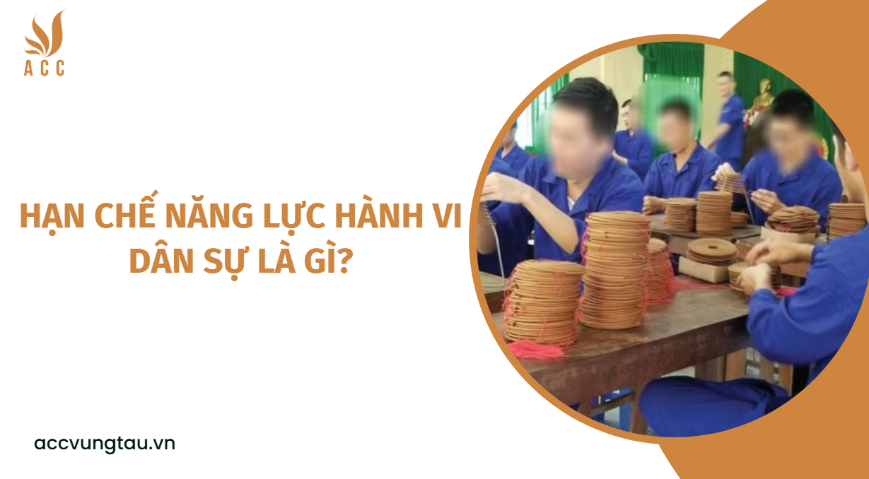 Hạn chế năng lực hành vi dân sự là gì?.jpg