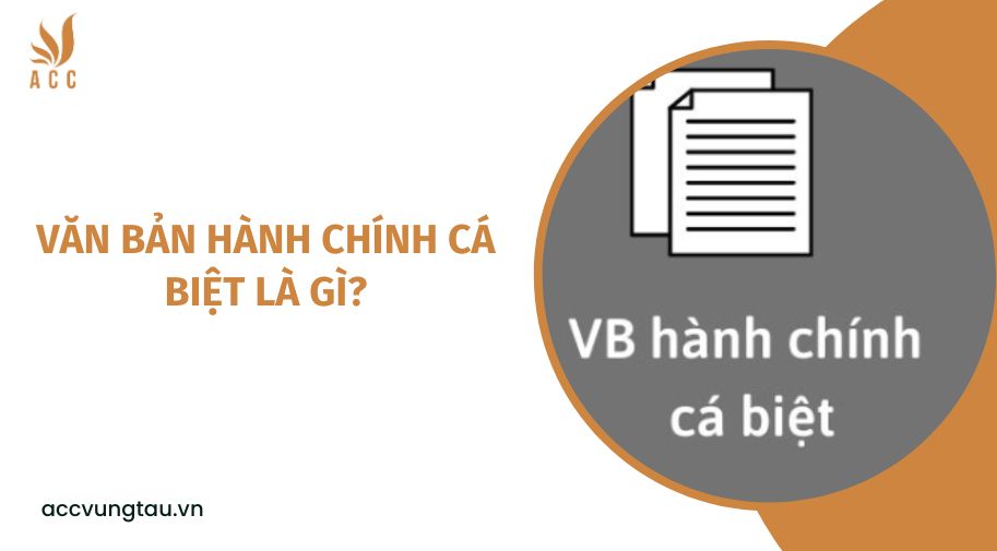 Văn bản hành chính cá biệt là gì?.jpg
