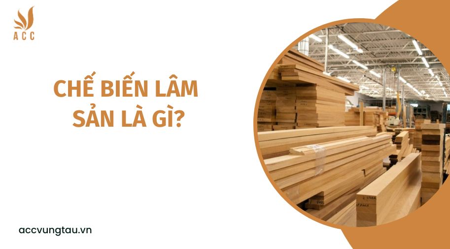 Vốn đầu tư mạo hiểm là gì?