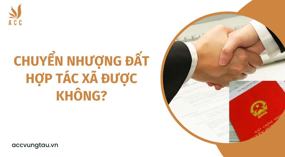 Chuyển nhượng đất hợp tác xã được không?