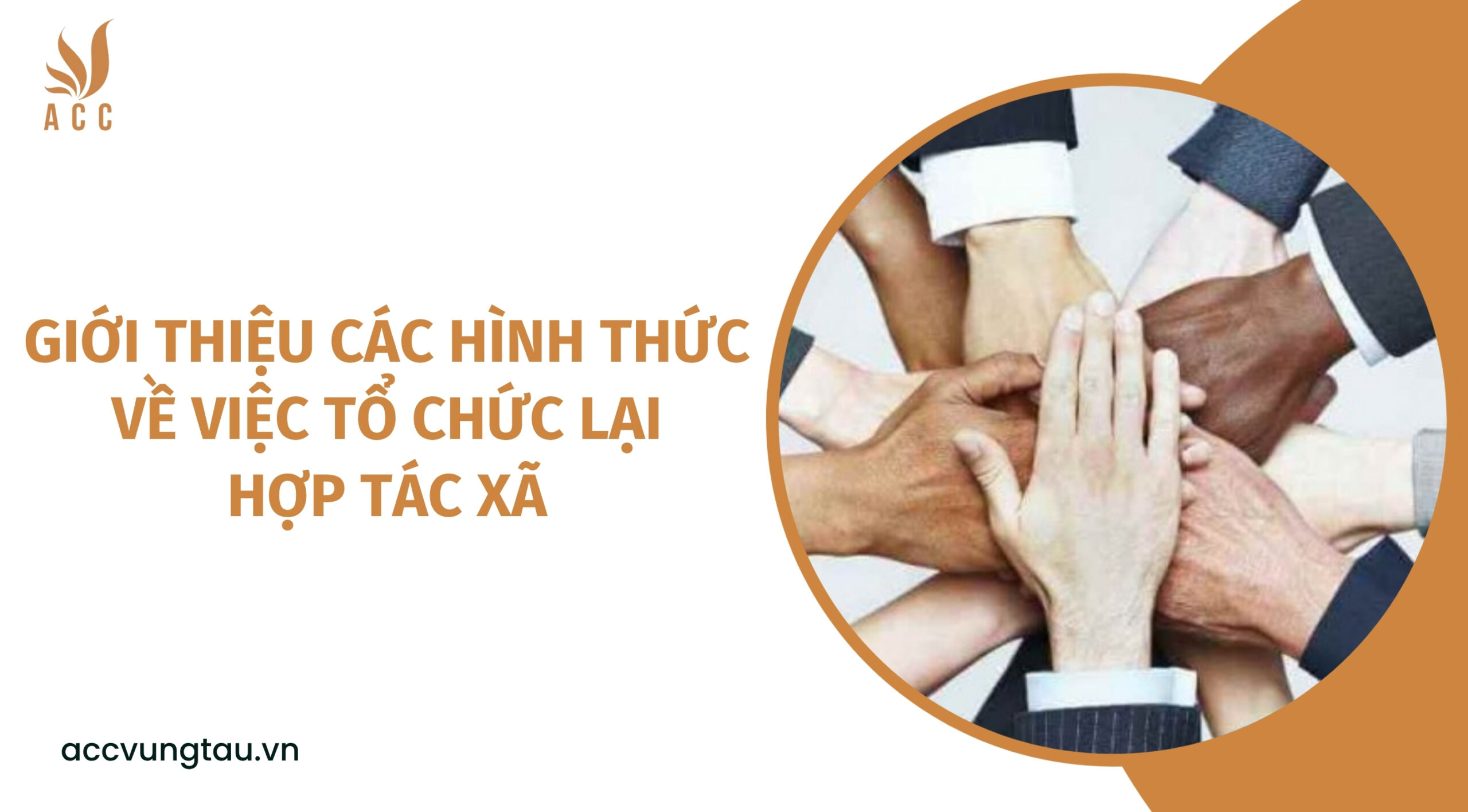 Giới thiệu các hình thức về việc tổ chức lại hợp tác xã (1)