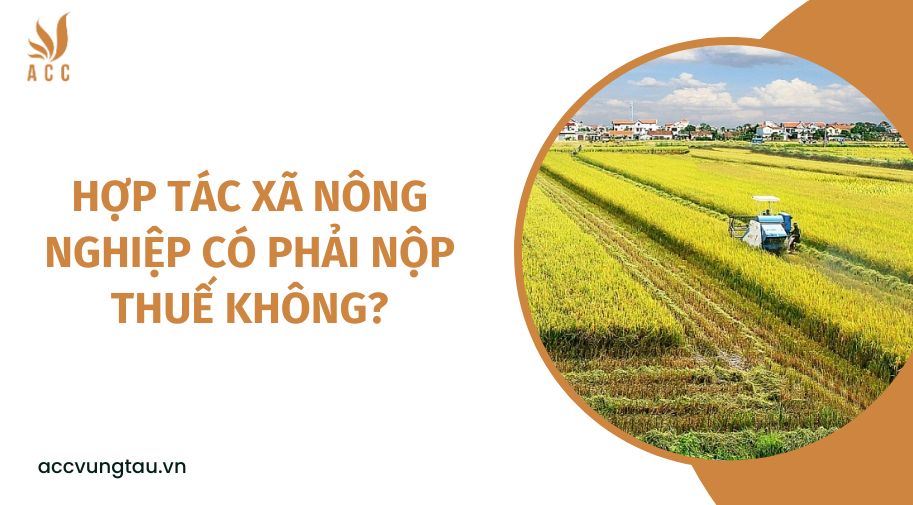 Hợp tác xã nông nghiệp có phải nộp thuế không?