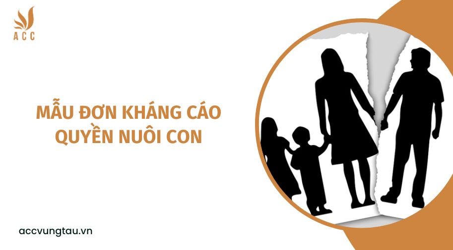 Mẫu đơn kháng cáo quyền nuôi con