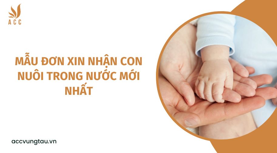Mẫu đơn xin nhận con nuôi trong nước mới nhất