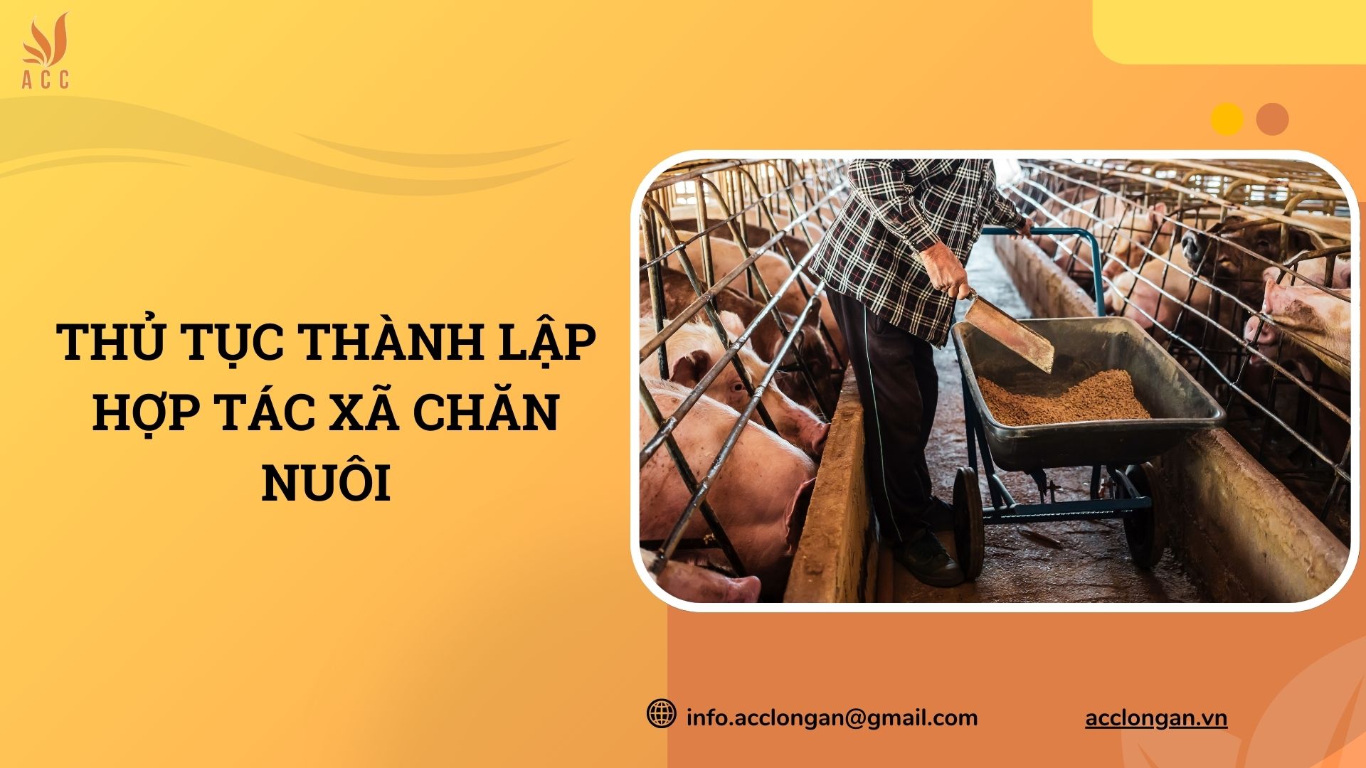 Thủ tục thành lập hợp tác xã chăn nuôi