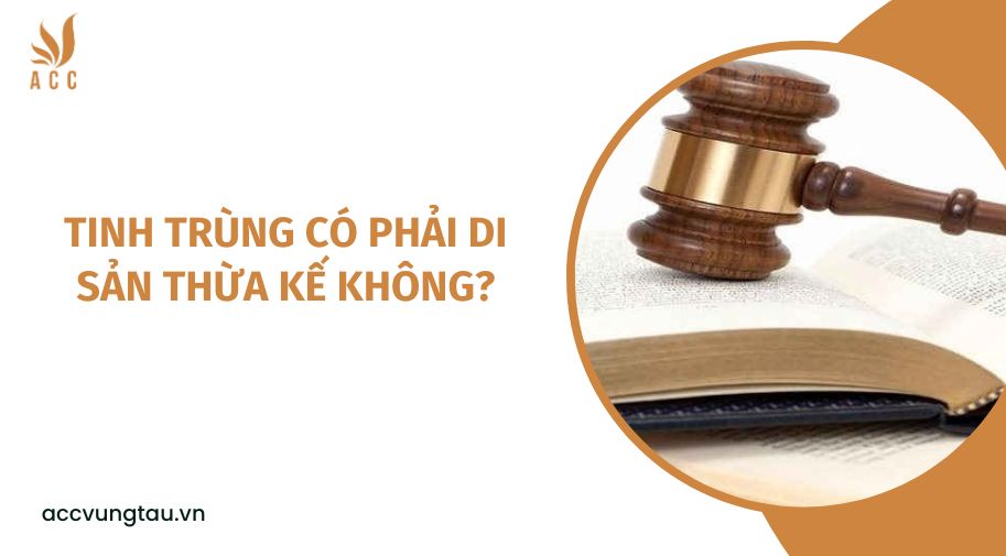 Tinh trùng có phải di sản thừa kế không?