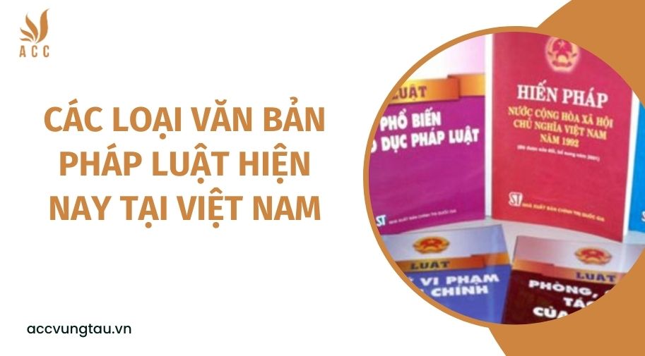 Các loại văn bản pháp luật hiện nay tại Việt Nam