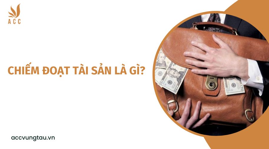 Chiếm đoạt tài sản là gì?