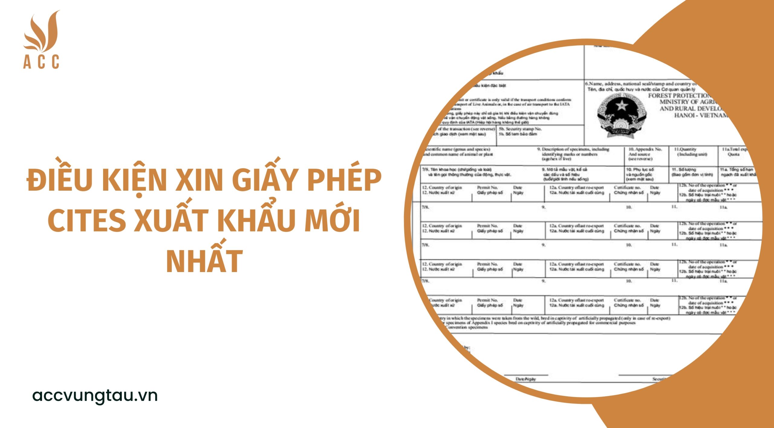Điều kiện xin giấy phép CITES xuất khẩu mới nhất