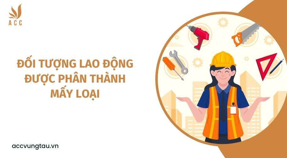 Đối tượng lao động được phân thành mấy loại
