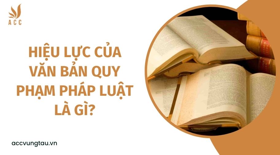 Hiệu lực của văn bản quy phạm pháp luật là gì?