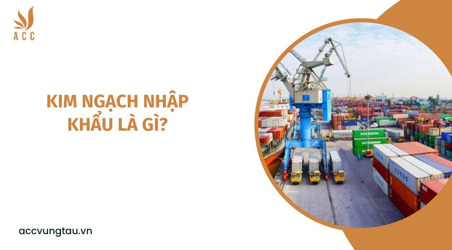 Kim ngạch nhập khẩu là gì?