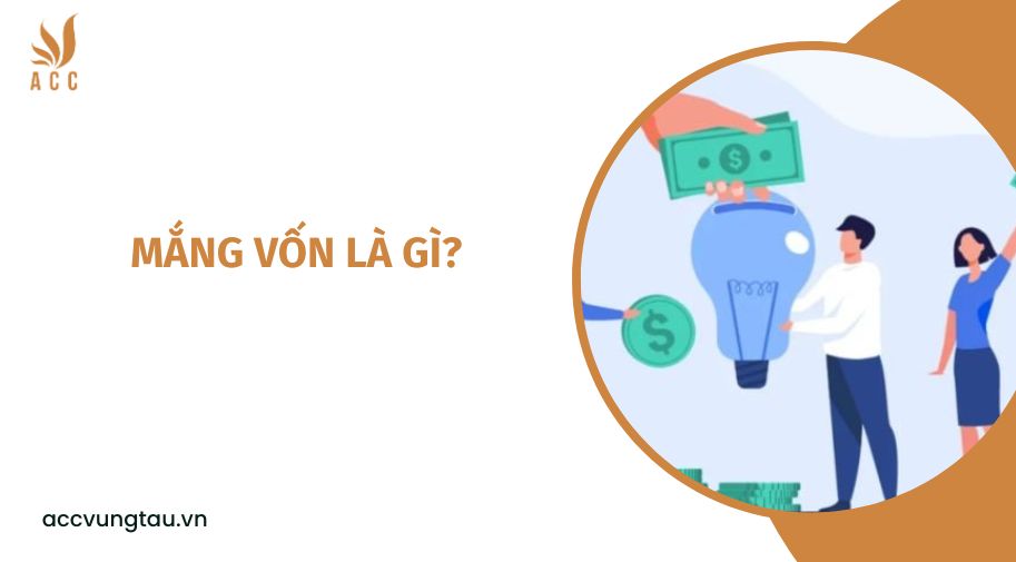 Mắng vốn là gì?