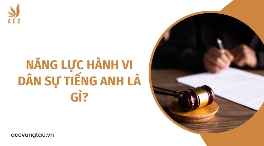Năng lực hành vi dân sự tiếng Anh là gì?