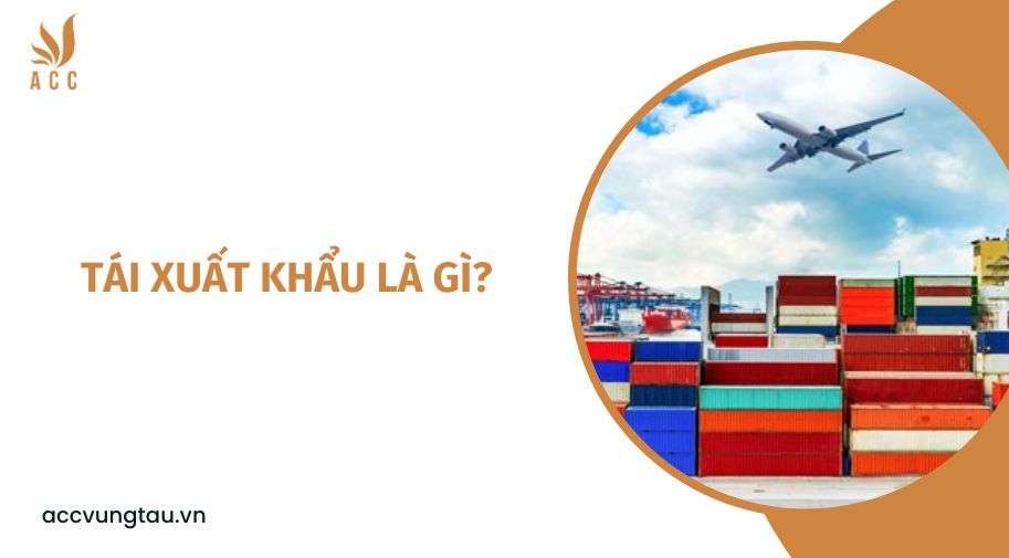 Tái xuất khẩu là gì?