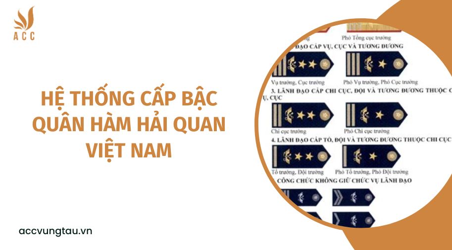 Hệ thống cấp bậc quân hàm hải quan Việt Nam