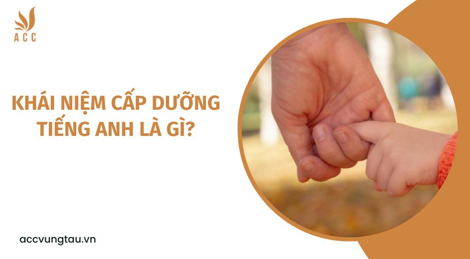 Khái niệm cấp dưỡng tiếng Anh là gì?