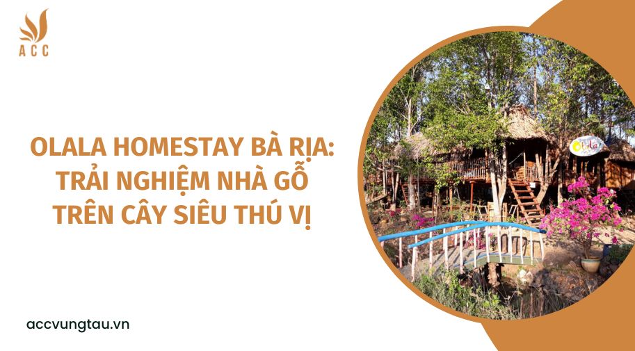 Olala Homestay Bà Rịa: Trải nghiệm nhà gỗ trên cây siêu thú vị
