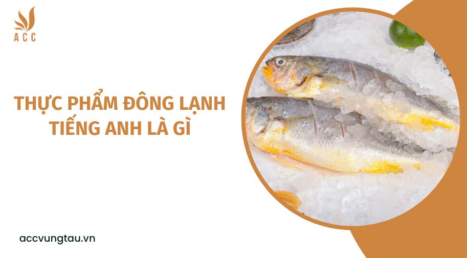 Thực phẩm đông lạnh tiếng Anh là gì?