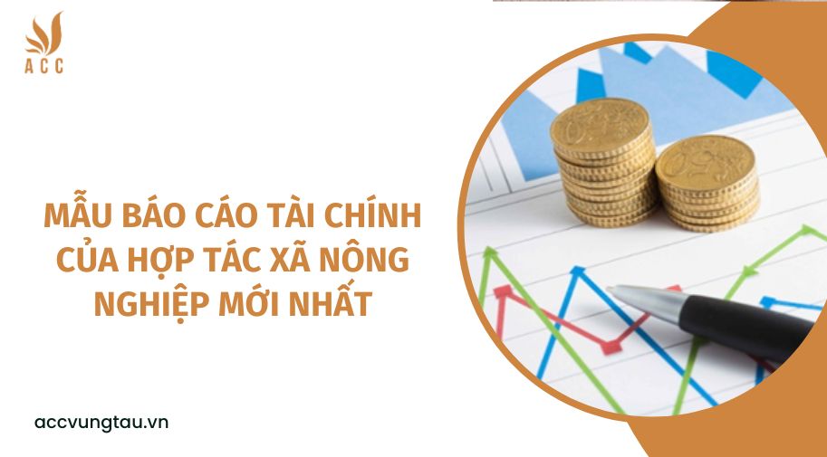 Mẫu báo cáo tài chính của hợp tác xã nông nghiệp mới nhất