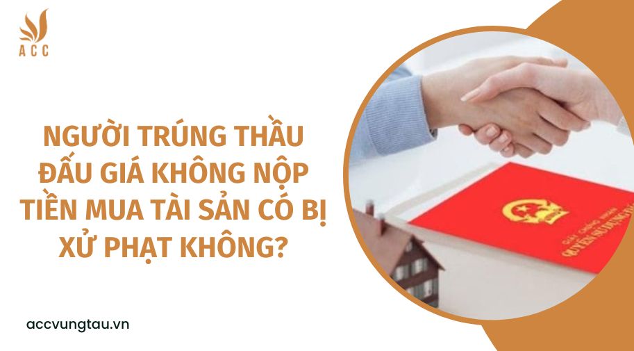 Người trúng thầu đấu giá không nộp tiền mua tài sản có bị xử phạt không?