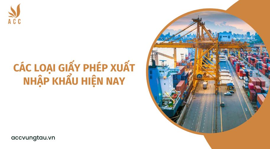 Các loại giấy phép xuất nhập khẩu hiện nay