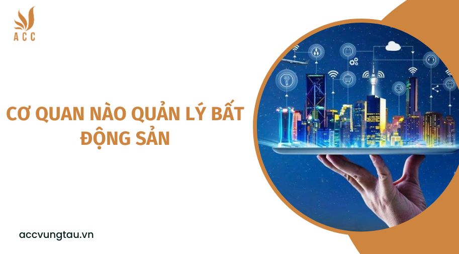 Cơ quan nào quản lý bất động sản