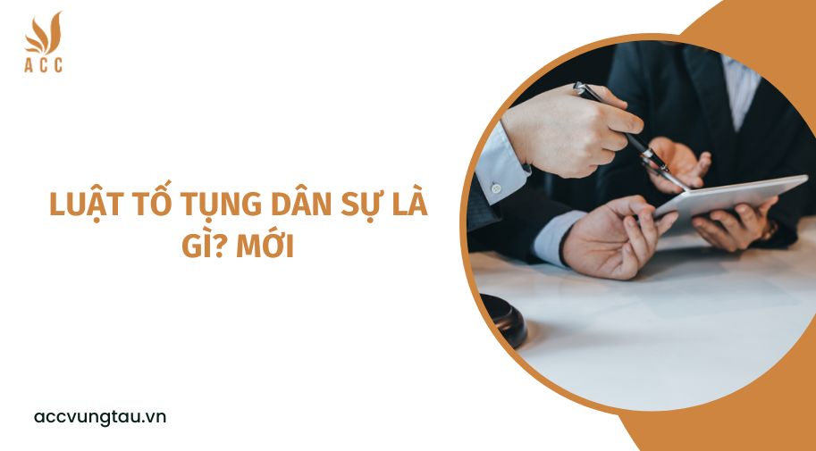 Luật tố tụng dân sự là gì? mới