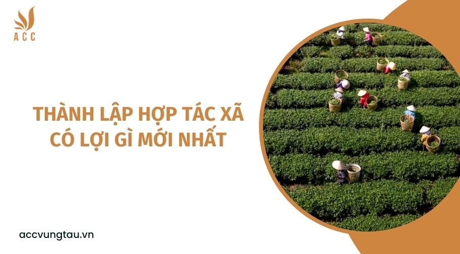 Thành lập hợp tác xã có lợi gì mới nhất