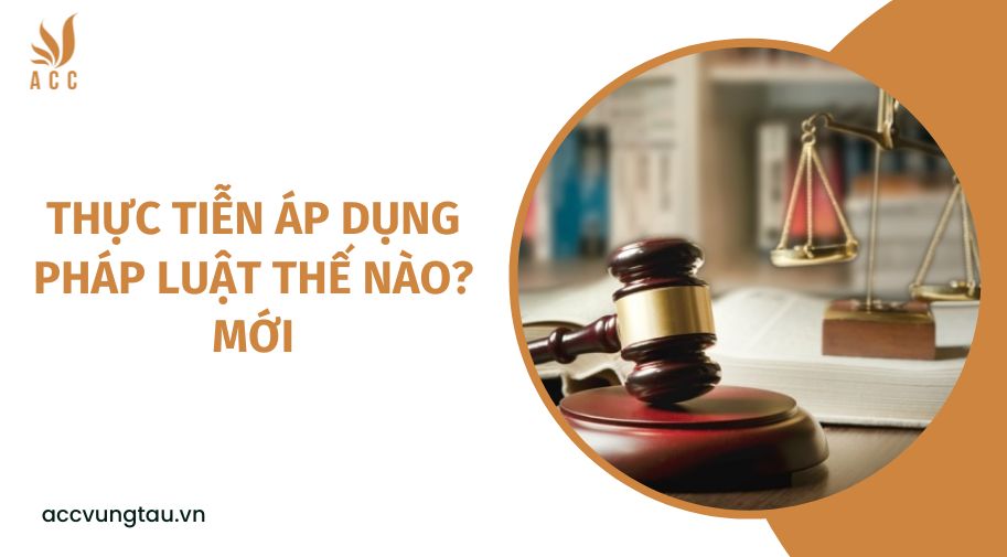 Thực tiễn áp dụng pháp luật thế nào? mới