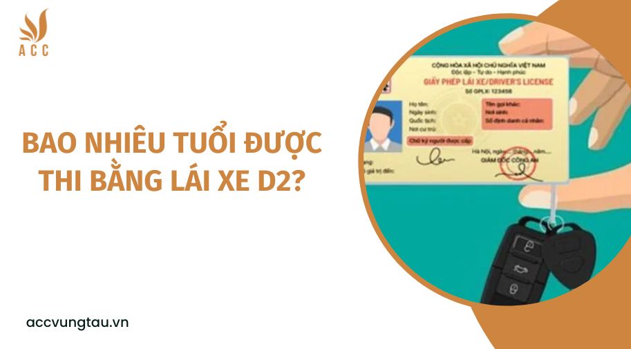 Bao nhiêu tuổi được thi bằng lái xe D2?